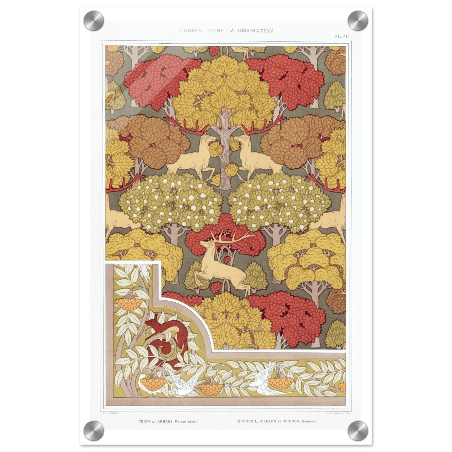 Acrylic Print | Cerfs et arbres - Lyrea