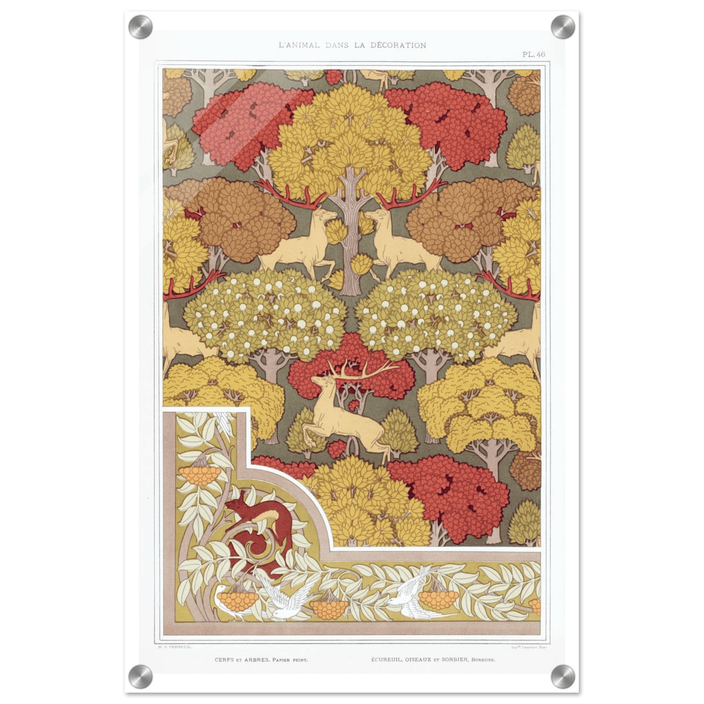 Acrylic Print | Cerfs et arbres - Lyrea