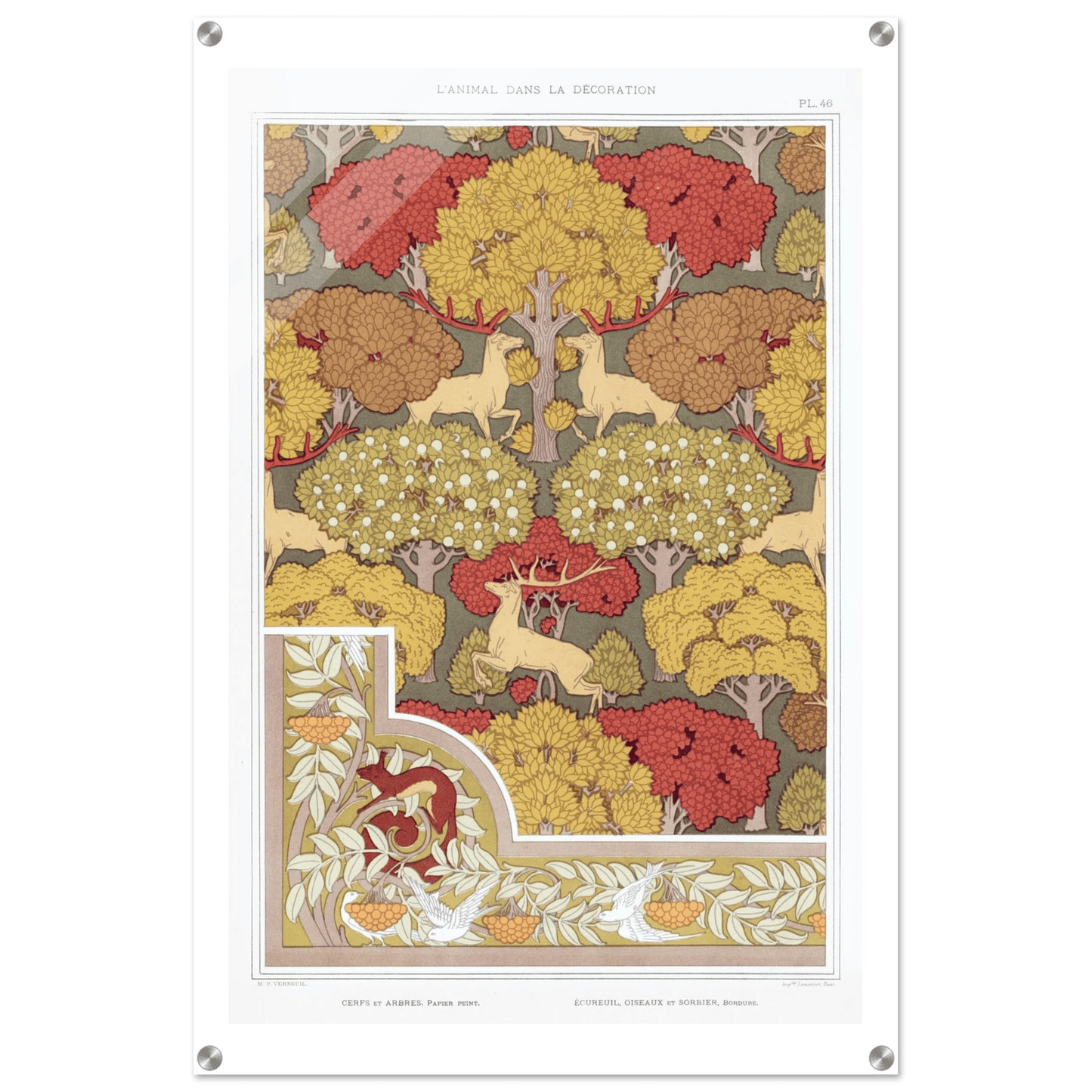 Acrylic Print | Cerfs et arbres - Lyrea