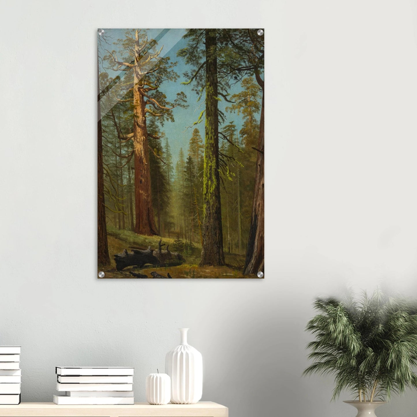 Acrylic Print | The Grizzly Giant Sequoia - Lyrea