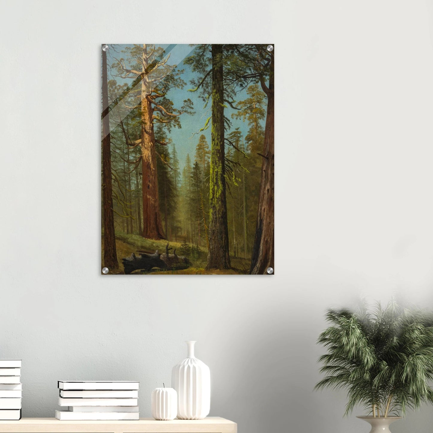 Acrylic Print | The Grizzly Giant Sequoia - Lyrea