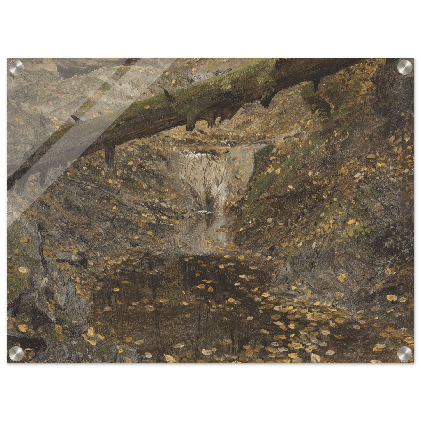 Acrylic Print | Woodland Stream - Lyrea