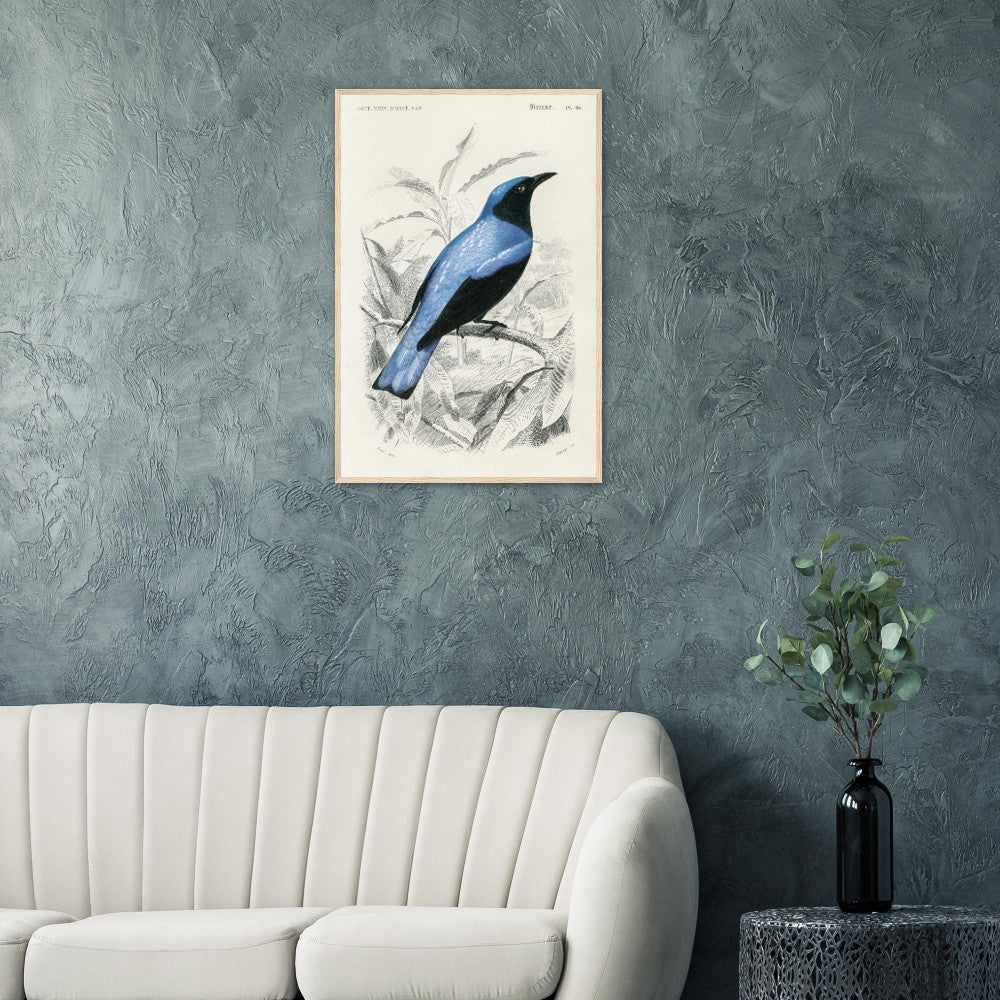 Square - tailed drongo | Classic Semi - Glossy Paper Wooden Framed Poster - Lyrea