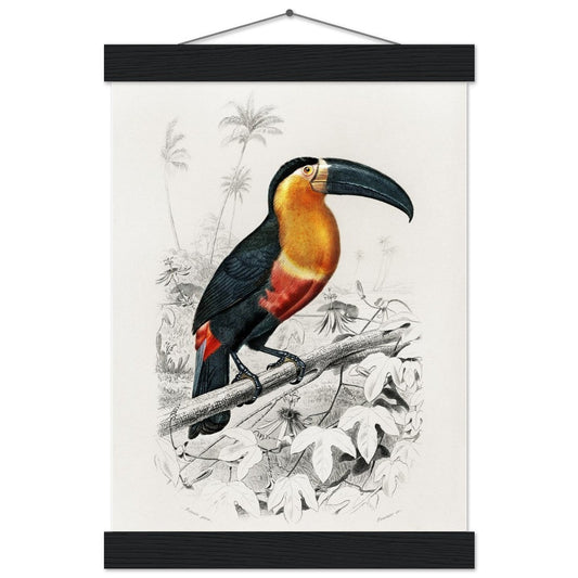 Toucan (Ramphastos) Classic Semi - Glossy Paper Poster with Hanger - Lyrea