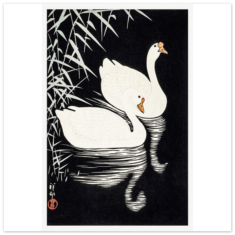 White Chinese Geese | Paper Poster - Lyrea
