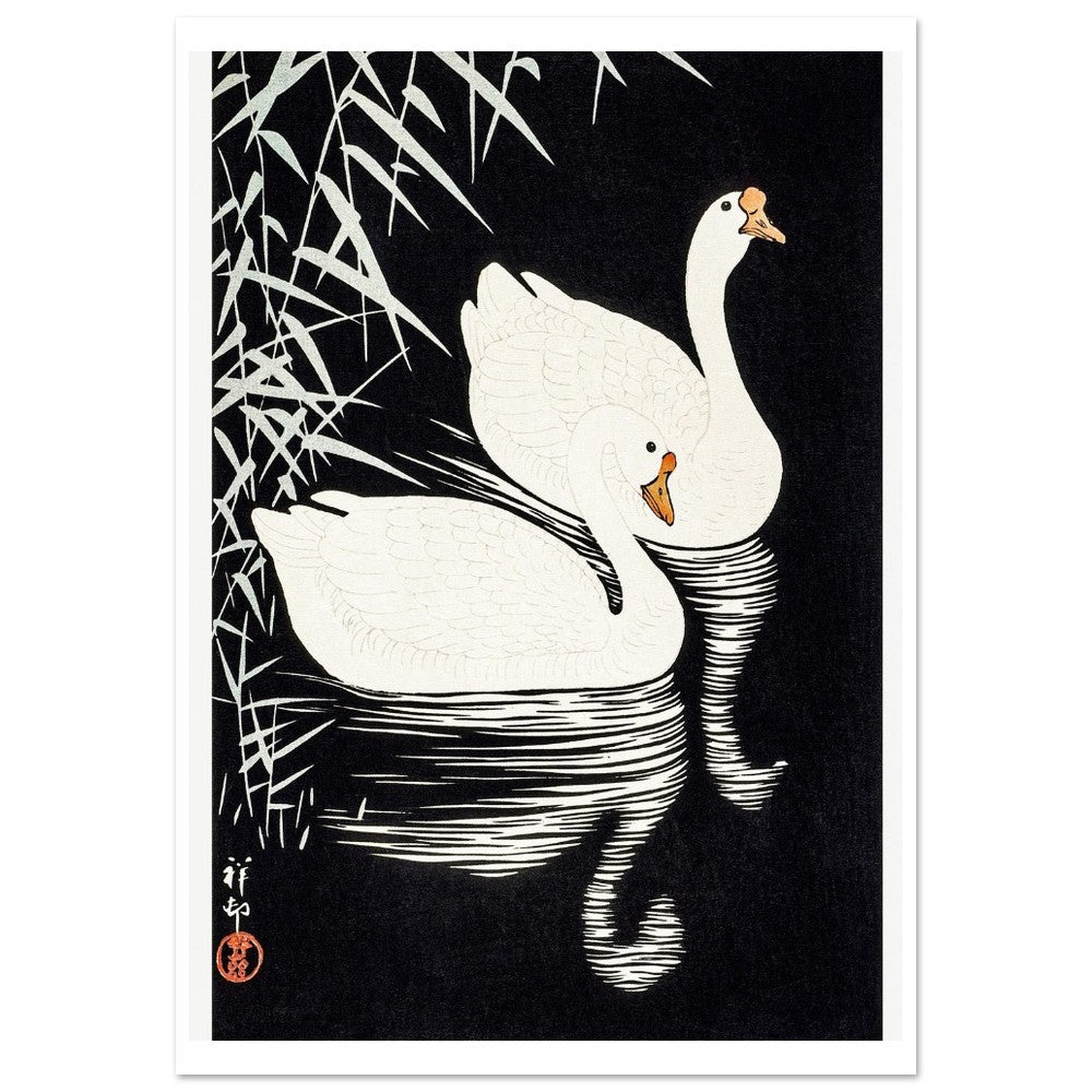 White Chinese Geese | Paper Poster - Lyrea