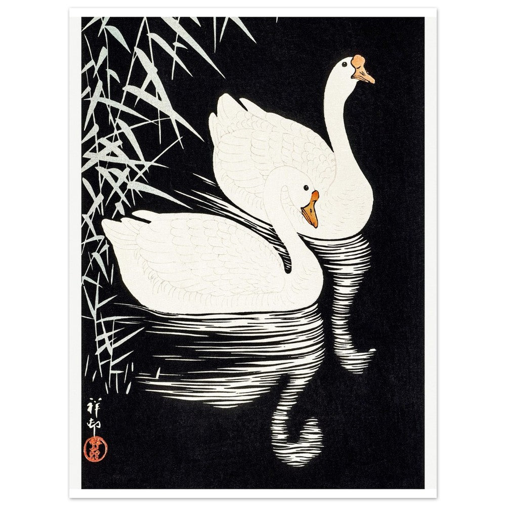White Chinese Geese | Paper Poster - Lyrea