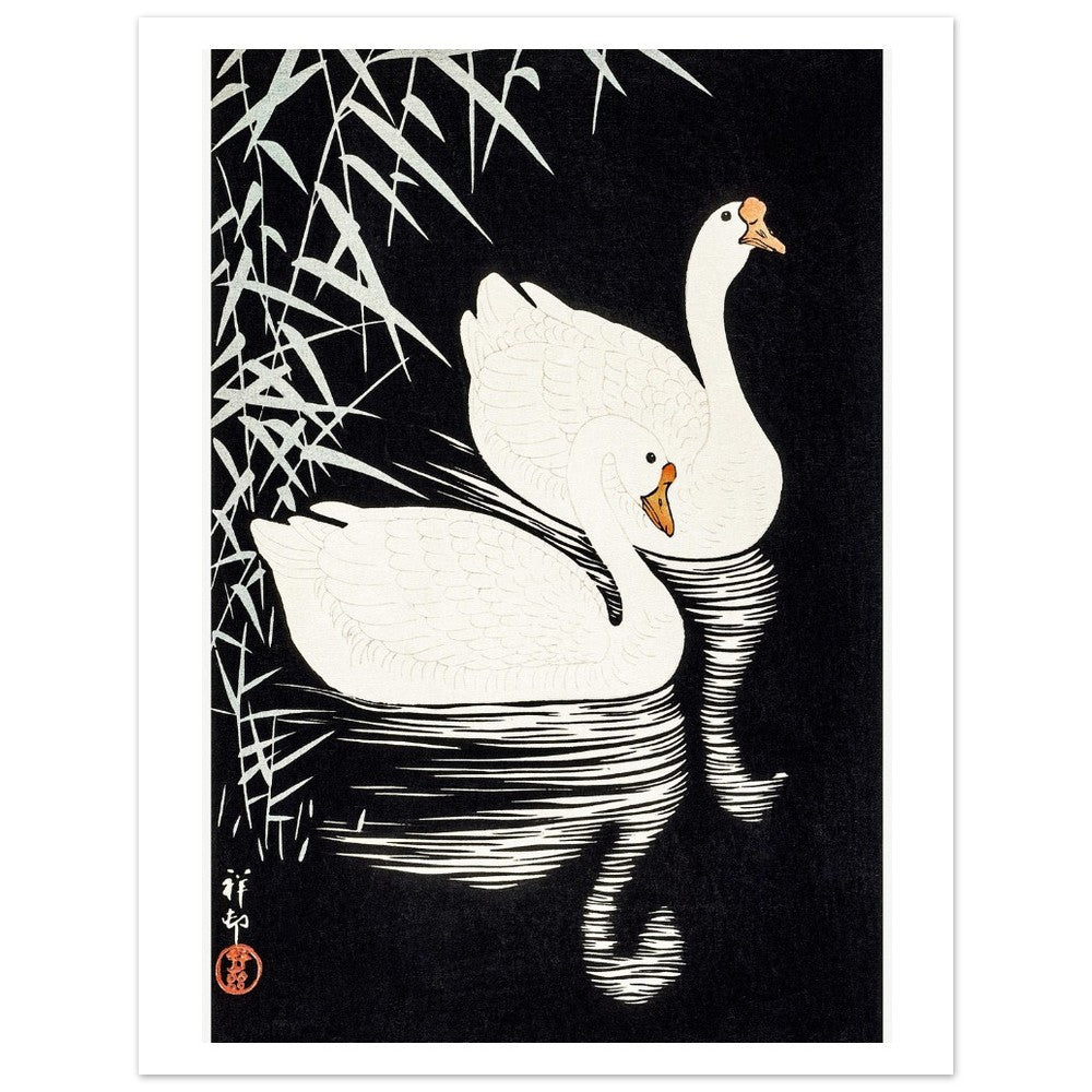 White Chinese Geese | Paper Poster - Lyrea
