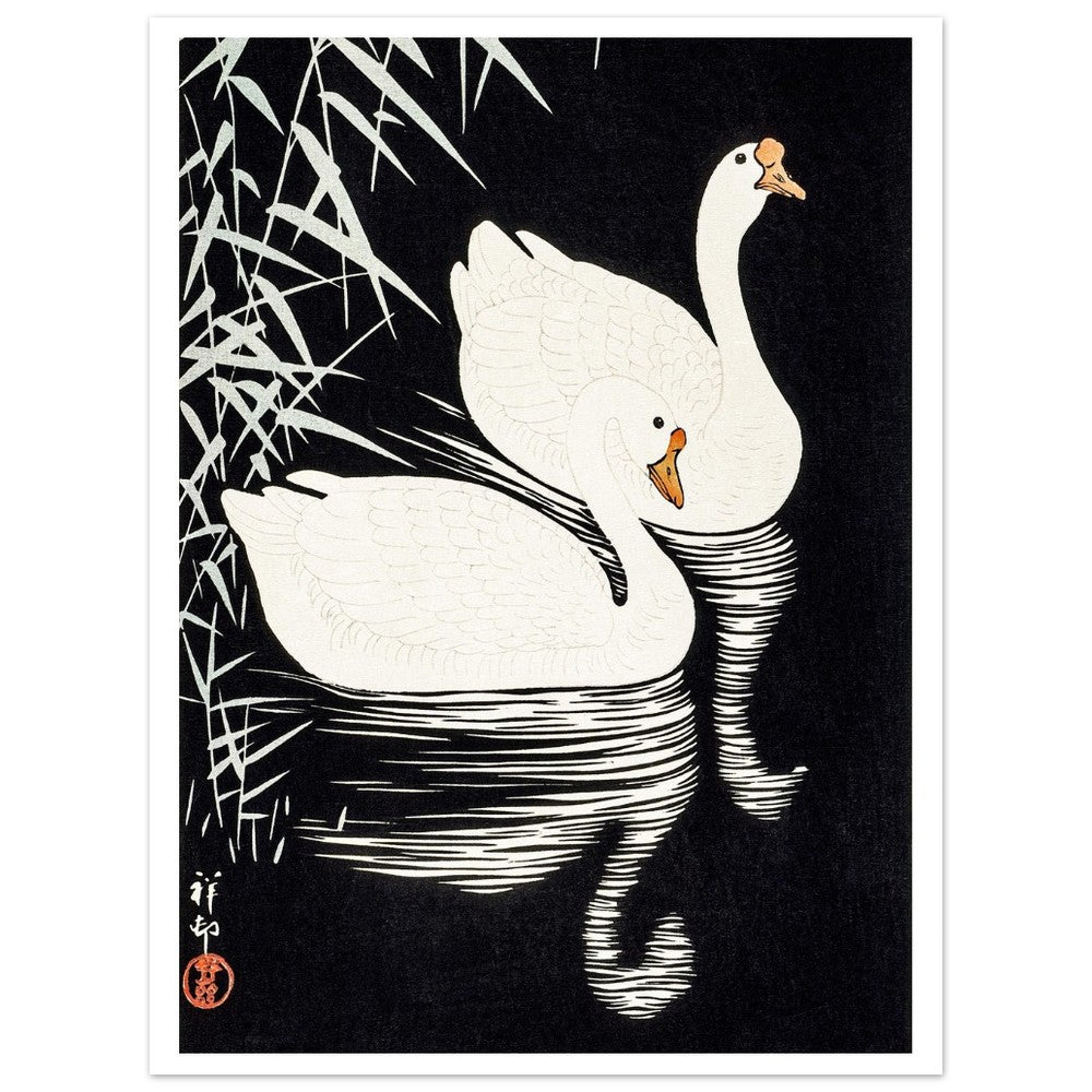 White Chinese Geese | Paper Poster - Lyrea