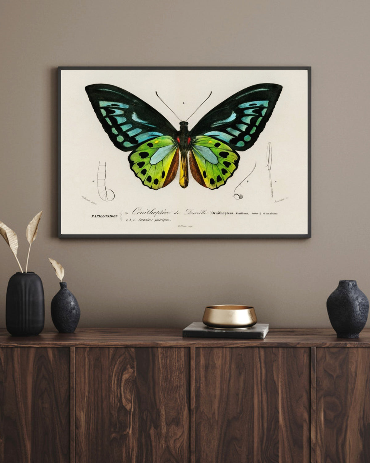 Green birdwing art print in a black landscape frame above a walnut sideboard