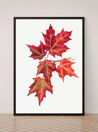 Autumn Leaves art print in a black frame, leaning against a white wall on a wood floor