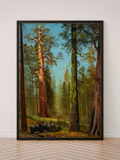 The Grizzly Giant Sequoia, Mariposa Grove art print in a black frame, leaning against a white wall on a wood floor