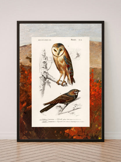 Birds and Autumn Treetops art print in a black frame, leaning against a white wall on a wood floor
