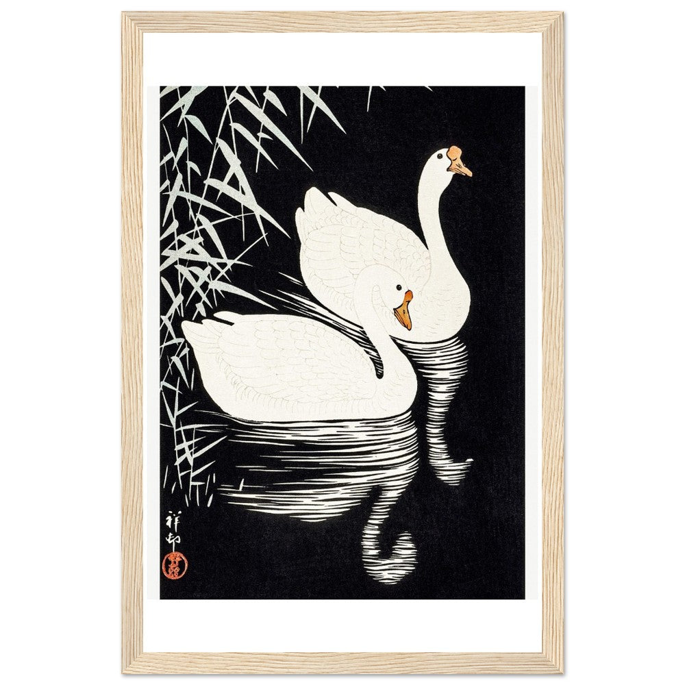 White Chinese Geese | Classic Semi - Glossy Paper Wooden Framed Poster - Lyrea