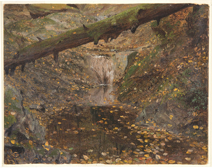 Woodland Stream
