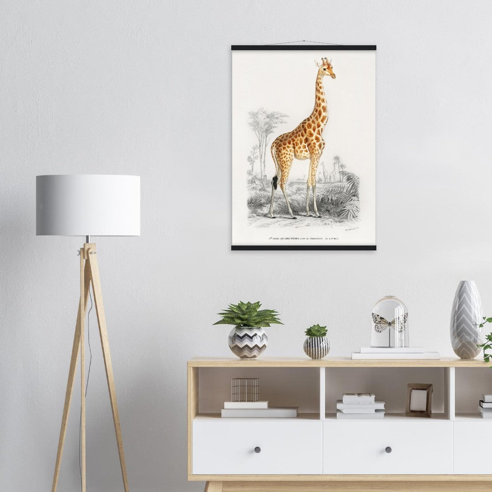 Giraffa camelopardalis | Classic Semi - Glossy Paper Poster with Hanger - Lyrea