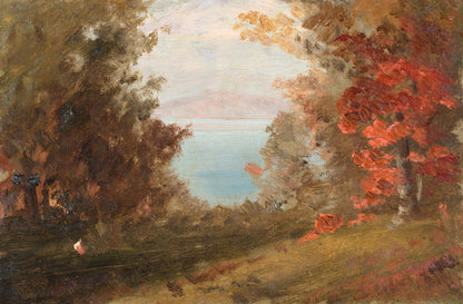 Woodland Scene in Autumn