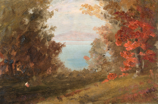 Woodland Scene in Autumn