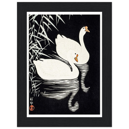 White Chinese Geese | Classic Semi - Glossy Paper Wooden Framed Poster - Lyrea