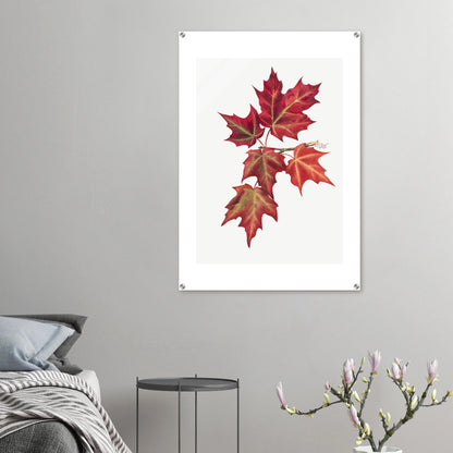 Acrylic Print | Autumn Leaves - Lyrea
