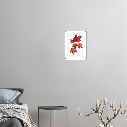 Acrylic Print | Autumn Leaves - Lyrea