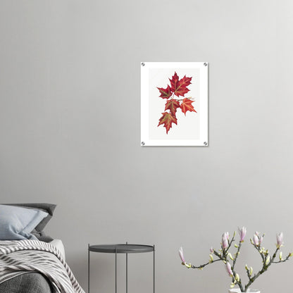 Acrylic Print | Autumn Leaves - Lyrea