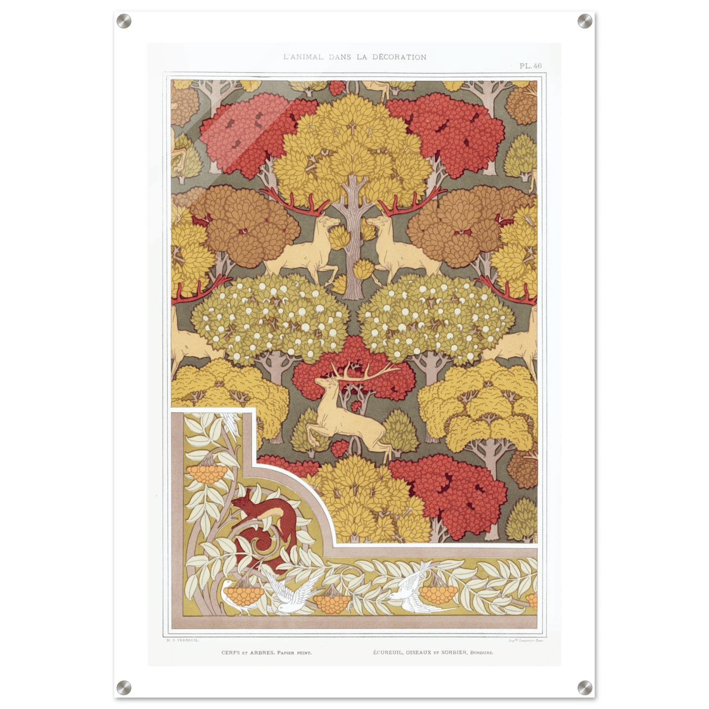 Acrylic Print | Cerfs et arbres - Lyrea