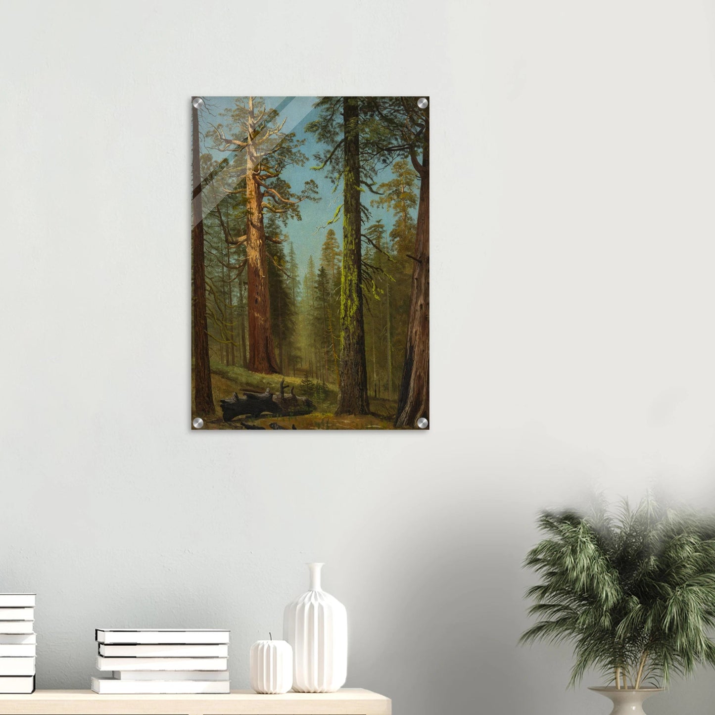 Acrylic Print | The Grizzly Giant Sequoia - Lyrea
