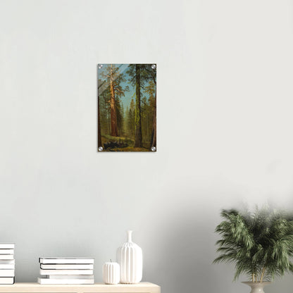 Acrylic Print | The Grizzly Giant Sequoia - Lyrea
