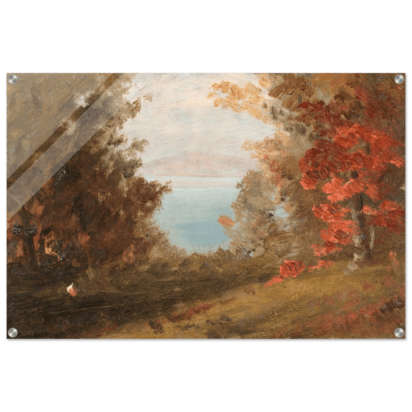 Acrylic Print | Woodland Scene - Lyrea