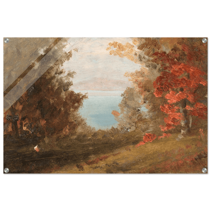 Acrylic Print | Woodland Scene - Lyrea
