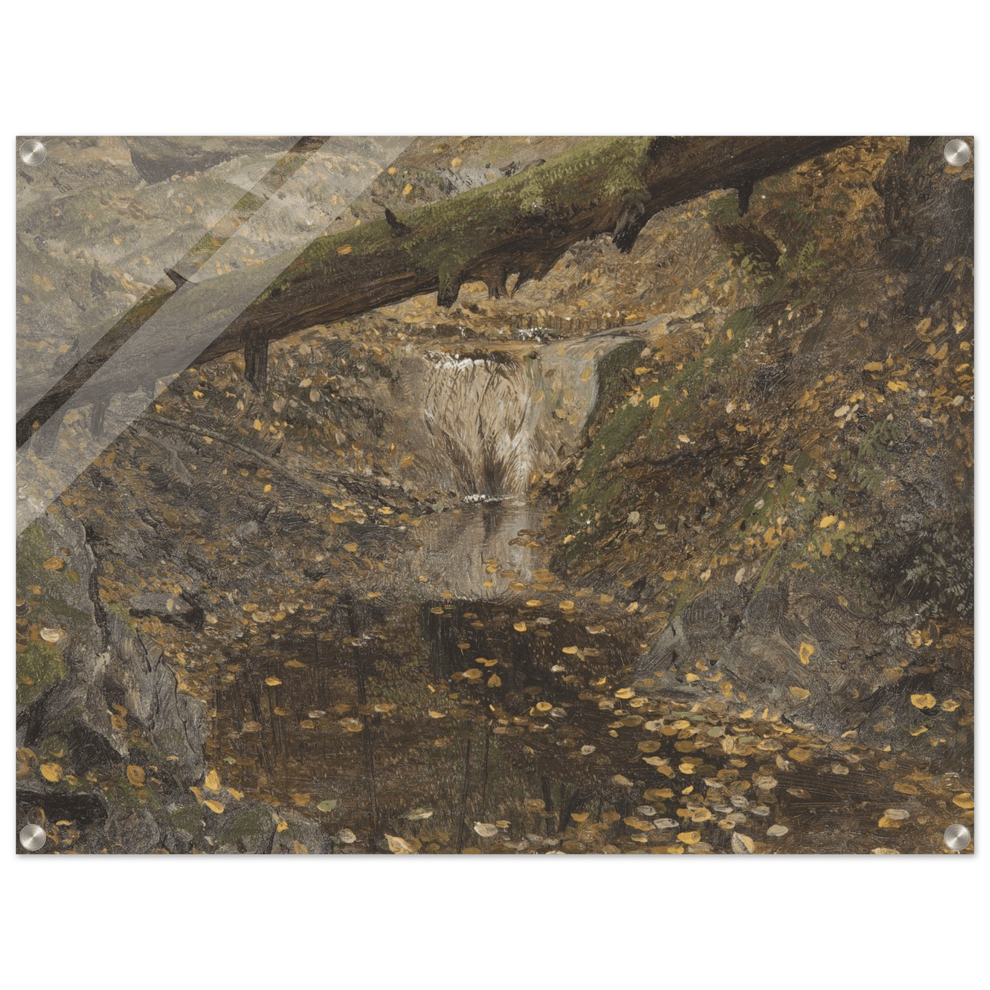 Acrylic Print | Woodland Stream - Lyrea