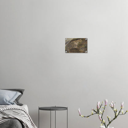 Acrylic Print | Woodland Stream - Lyrea