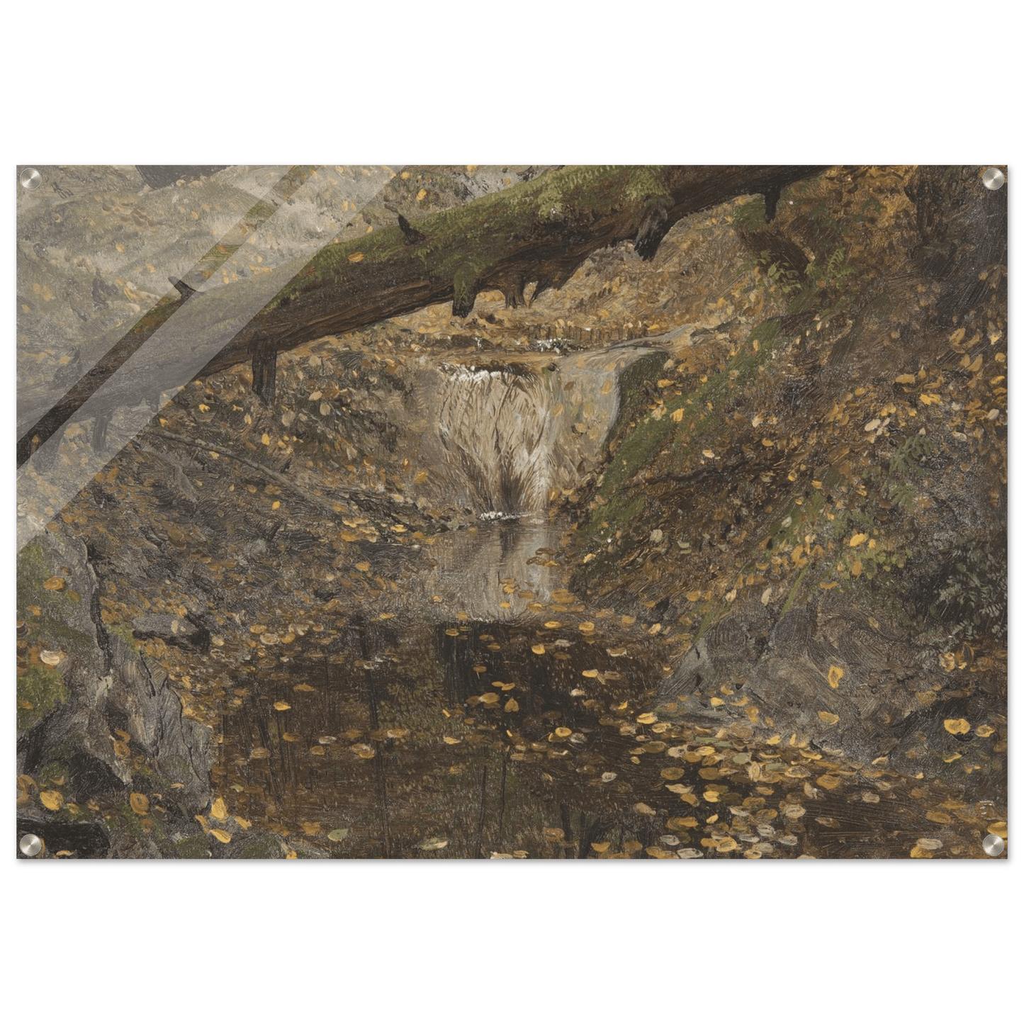 Acrylic Print | Woodland Stream - Lyrea