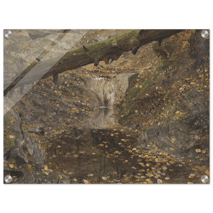 Acrylic Print | Woodland Stream - Lyrea