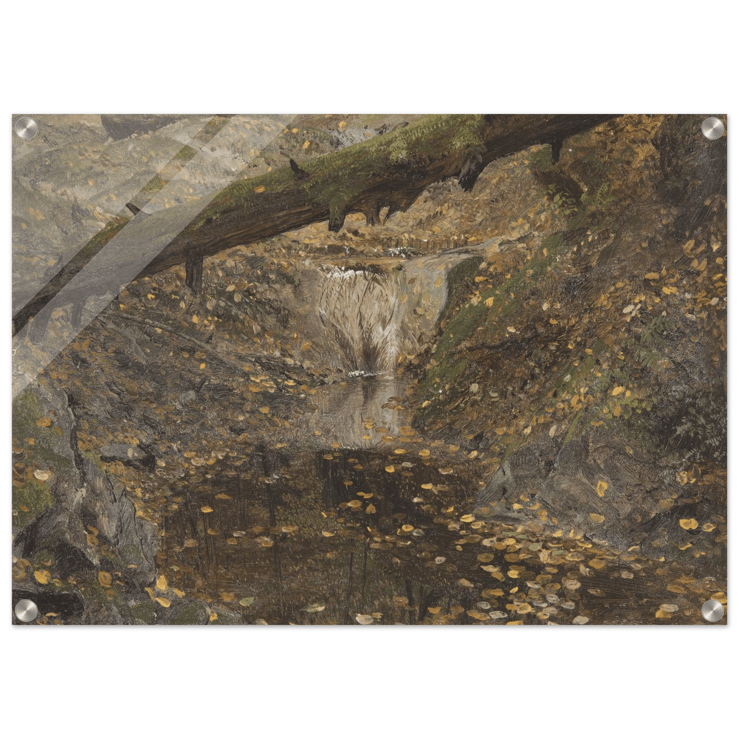 Acrylic Print | Woodland Stream - Lyrea