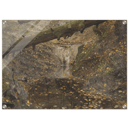 Acrylic Print | Woodland Stream - Lyrea