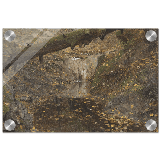 Acrylic Print | Woodland Stream - Lyrea