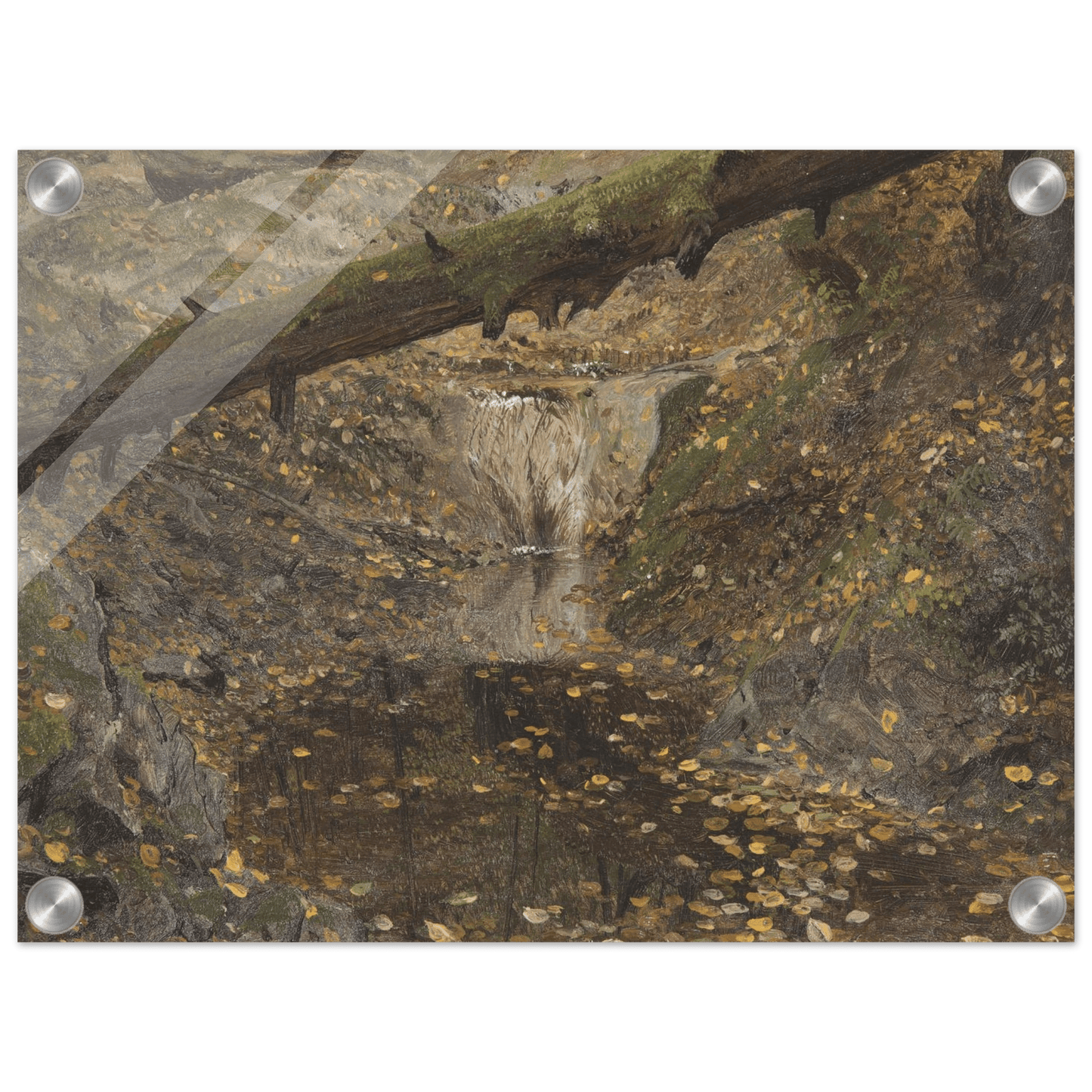 Acrylic Print | Woodland Stream - Lyrea