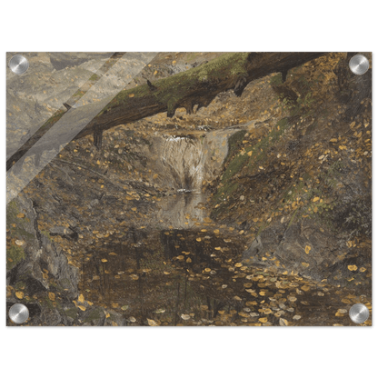 Acrylic Print | Woodland Stream - Lyrea