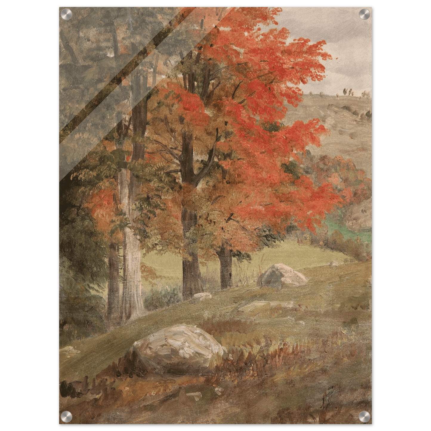 Acrylic Print | Woods in Autumn - Lyrea
