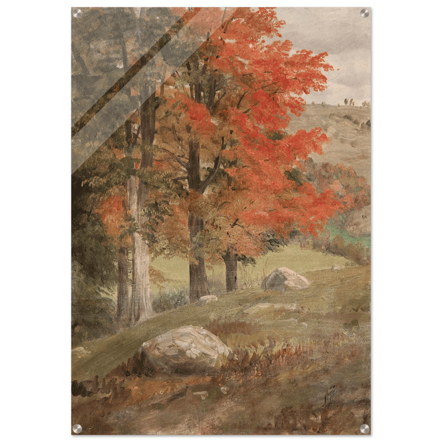Acrylic Print | Woods in Autumn - Lyrea