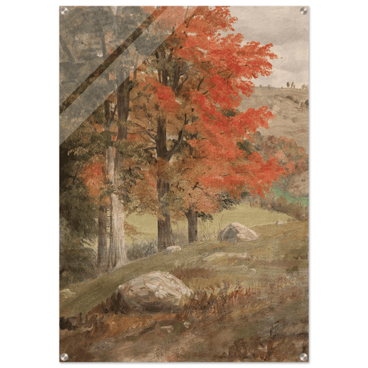 Acrylic Print | Woods in Autumn - Lyrea