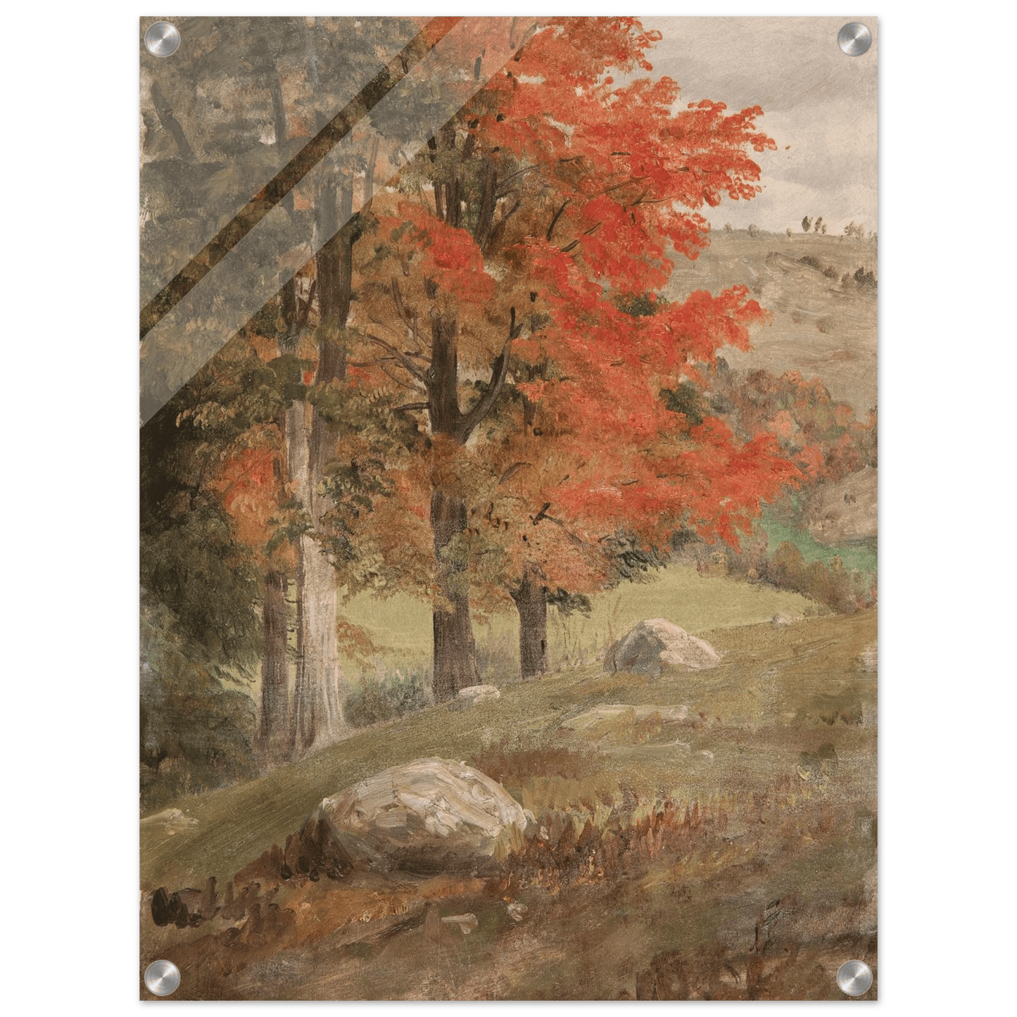 Acrylic Print | Woods in Autumn - Lyrea