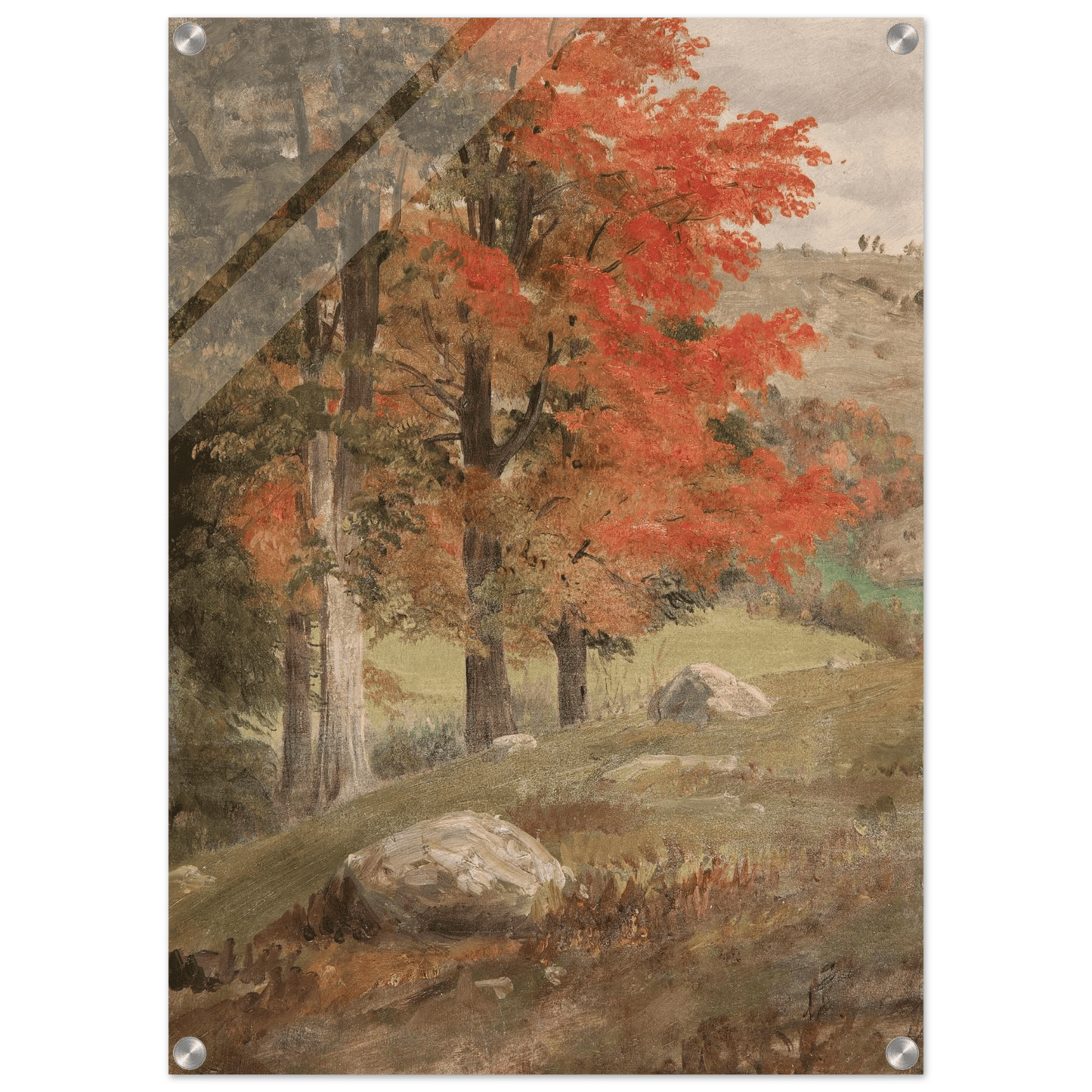 Acrylic Print | Woods in Autumn - Lyrea