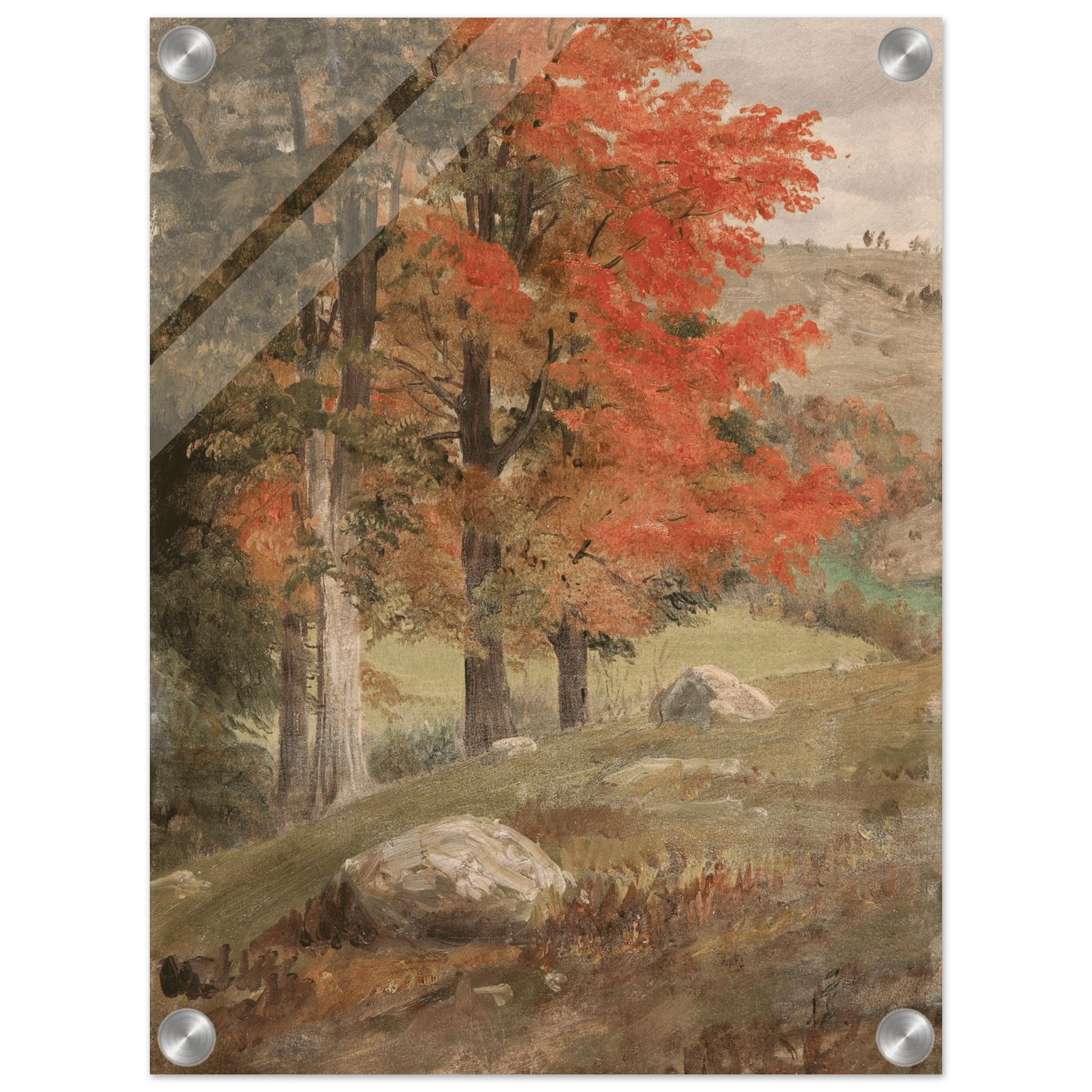 Acrylic Print | Woods in Autumn - Lyrea