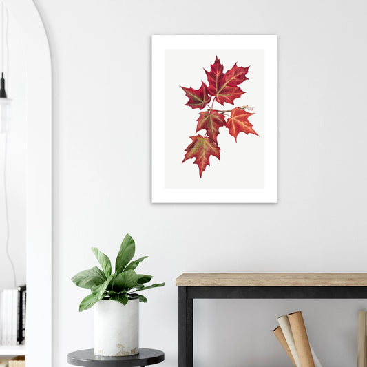 Aluminum Print | Autumn Leaves - Lyrea