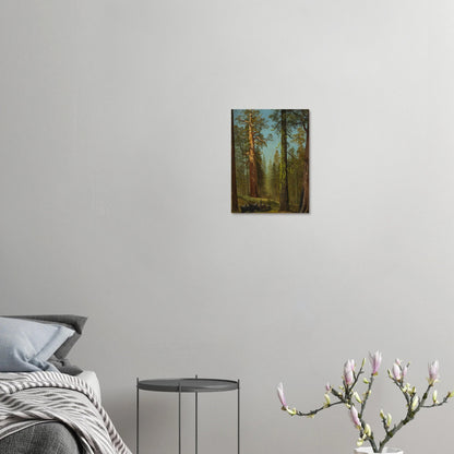 Aluminum Print | The Grizzly Giant Sequoia - Lyrea