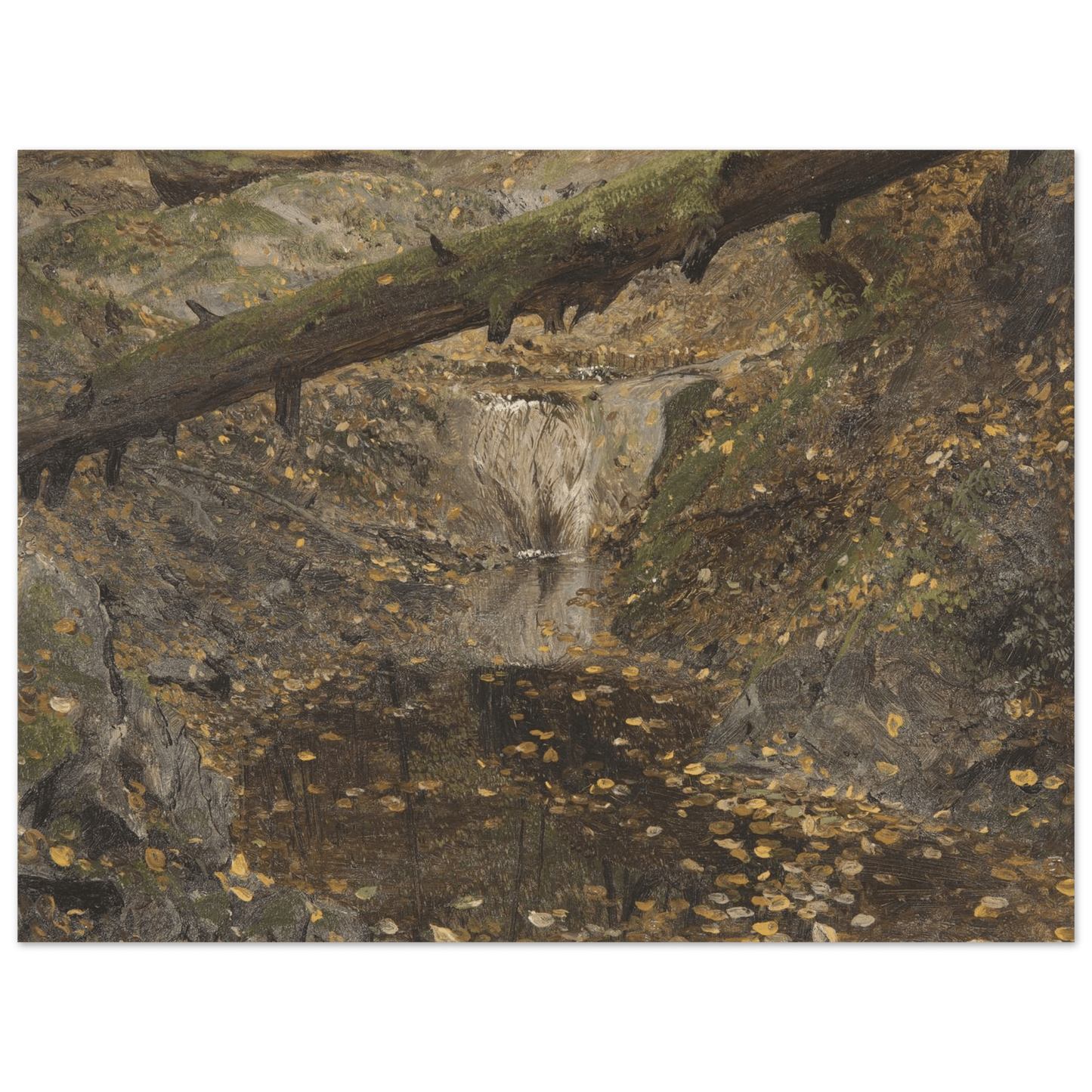 Aluminum Print | Woodland Stream - Lyrea