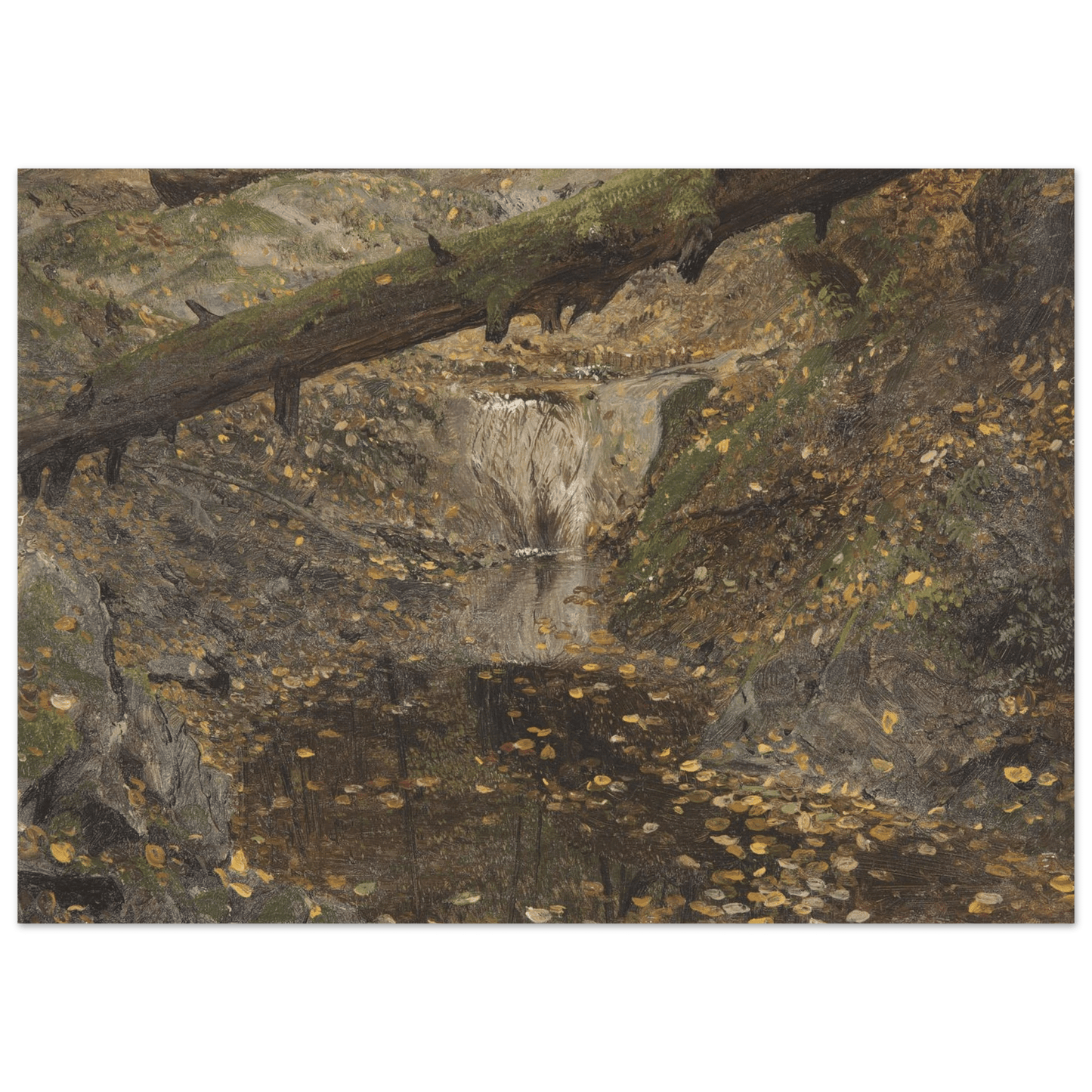 Aluminum Print | Woodland Stream - Lyrea
